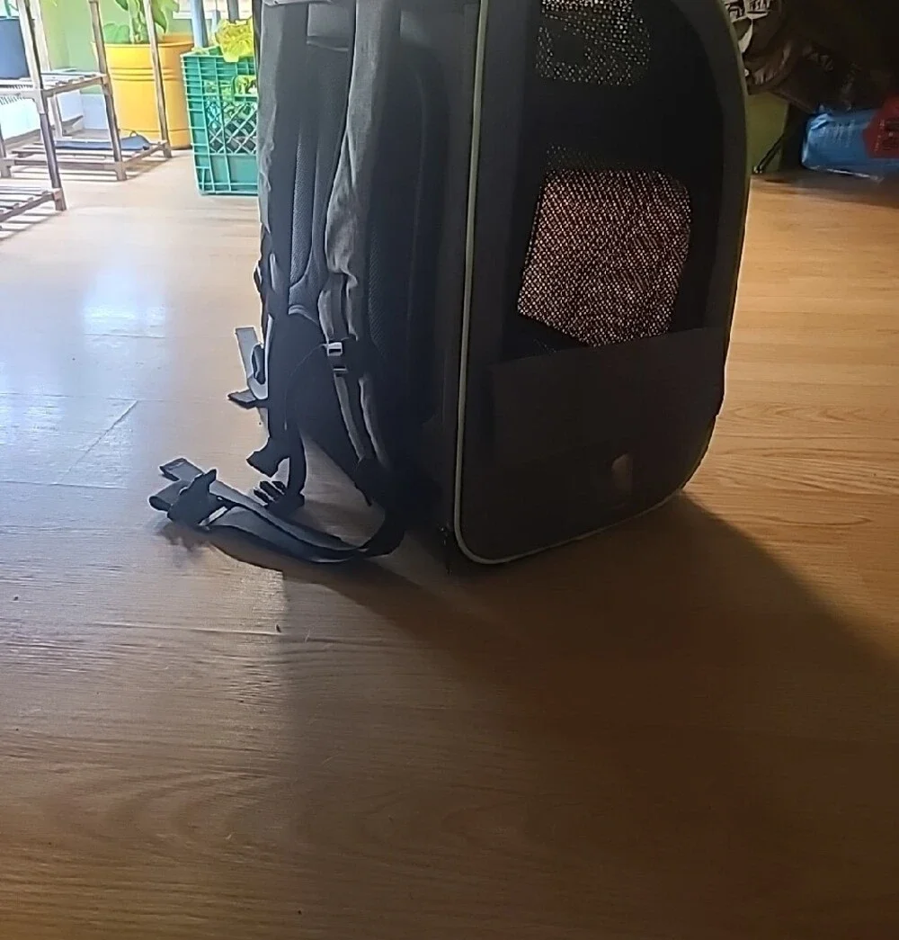 Extendable Pet Carrier/Backpack - Picture 2 of 5
